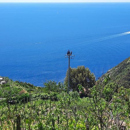 BiassaSunset - Homy 5 Terre Retreat公寓 外观 照片