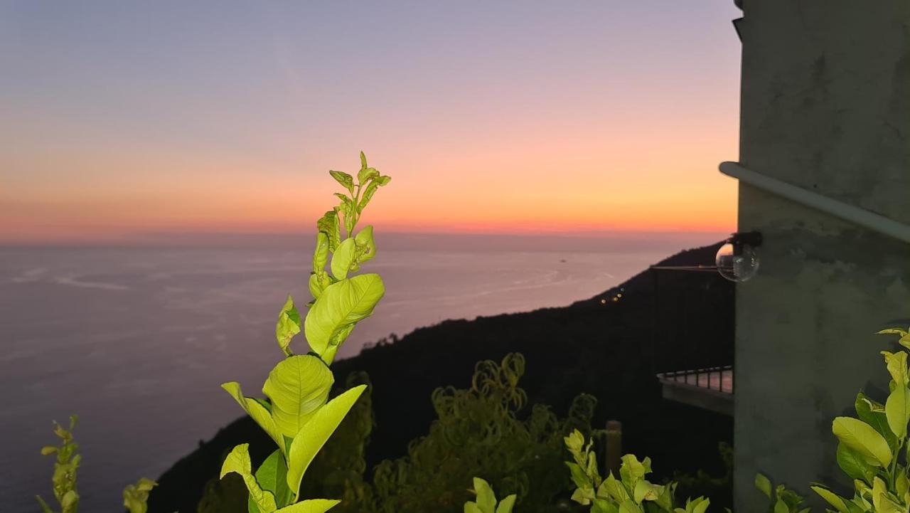 BiassaSunset - Homy 5 Terre Retreat公寓 外观 照片